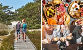 Wandelarrangement + borrelplank De Kardinaal